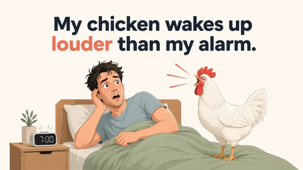 Dirty Chicken Jokes For Adults