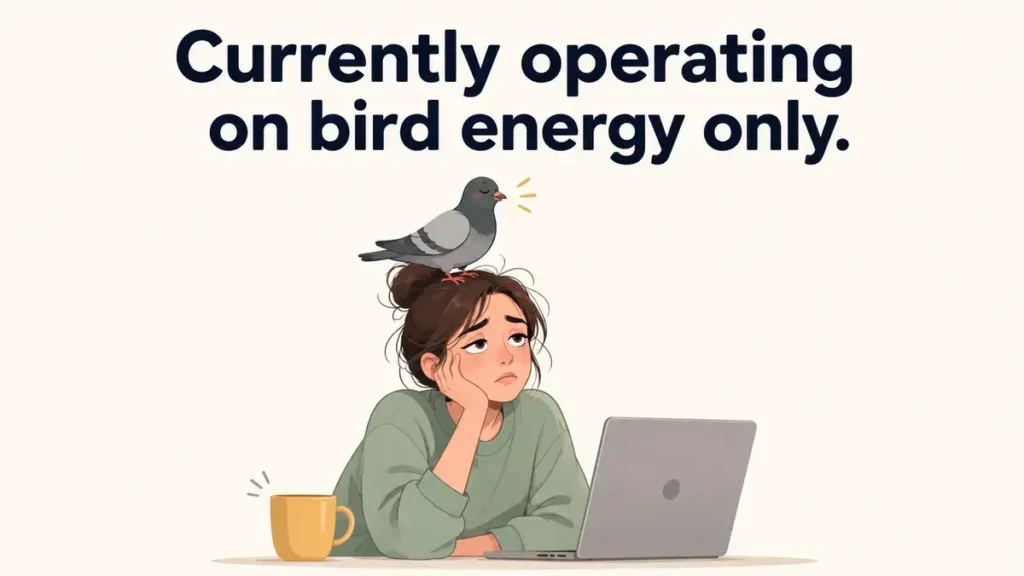 Funny Bird Captions For Social Media