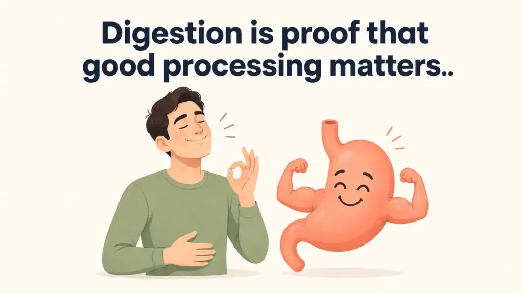 Clever Puns About The Digestive System