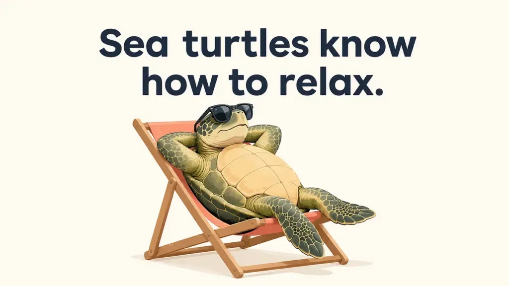 Turtle Jokes And Puns One Liners